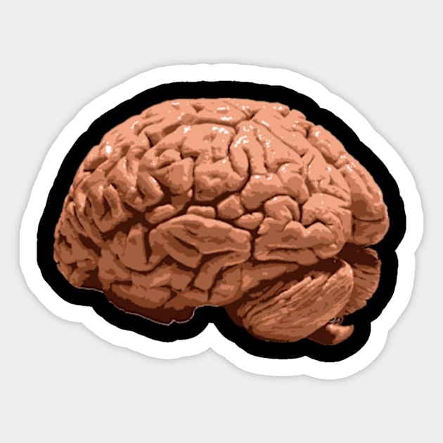 Real Human Brain Sticker by JadedOddity